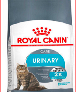 غذای خشک گربه رویال کنین مدل یورینری Royal Canin Cat Urinary Care