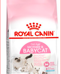 غذای بچه گربه و مادر شیرده رویال کنین| Mother and Babycat