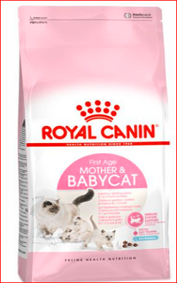 غذای بچه گربه و مادر شیرده رویال کنین| Mother and Babycat